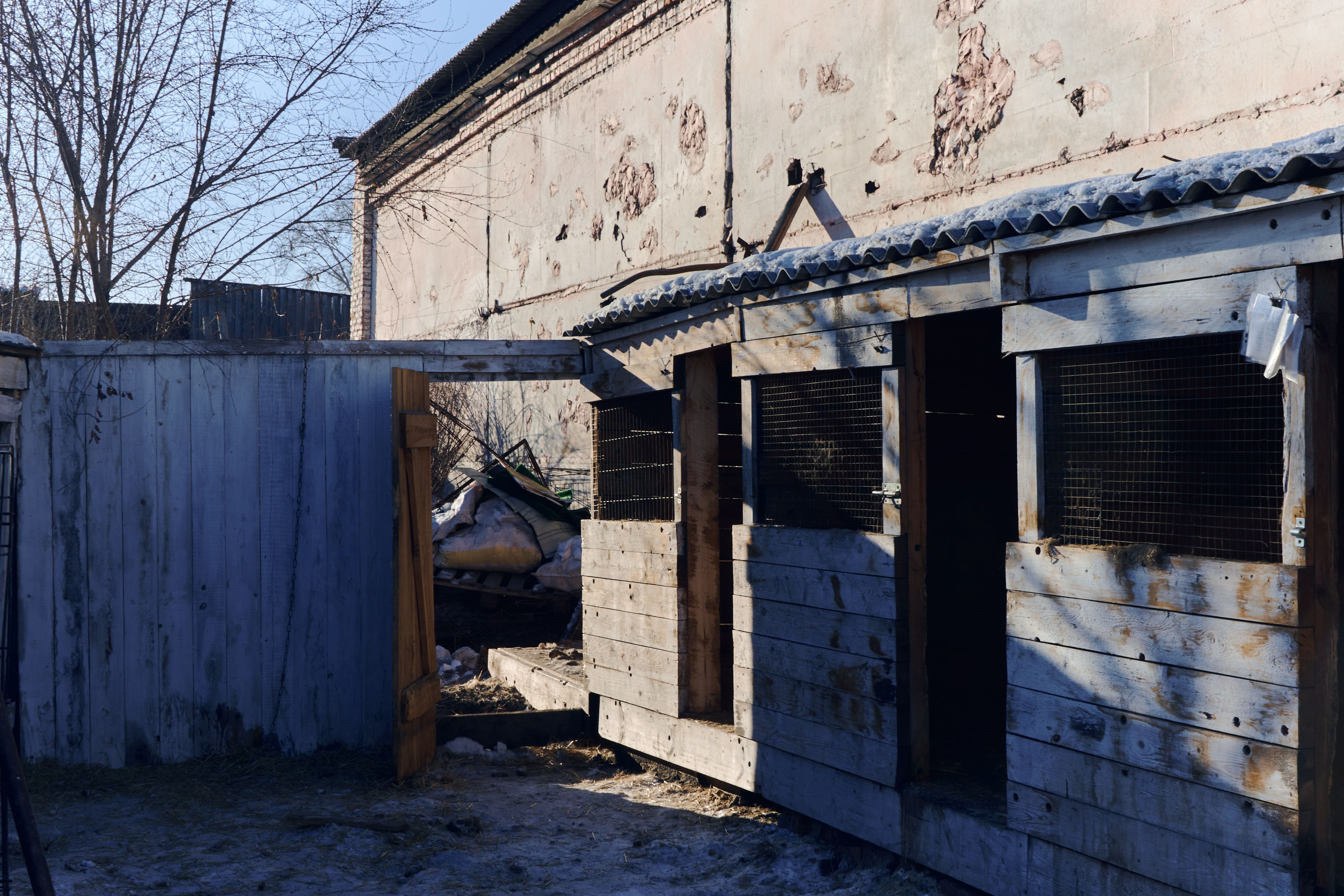 Приют для животных «Ананда»