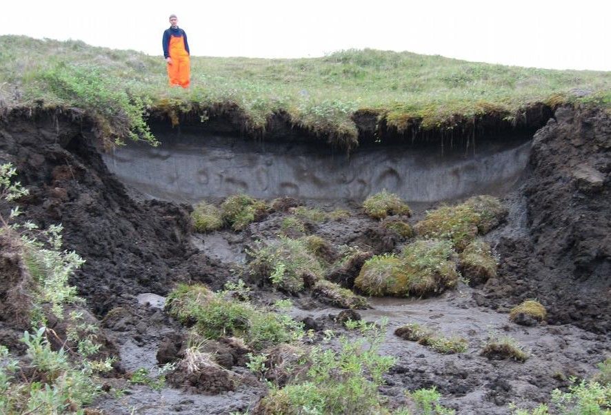 Изображение-image-69c4a4dc47343679ff0574e426e2793f3495c0ed-886x602-jpg